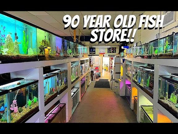90 aquarium and pet shop