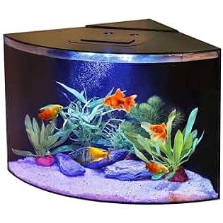 akuarium gold triangle aquarium centre