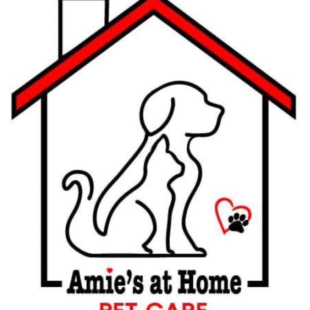 amie pet shop