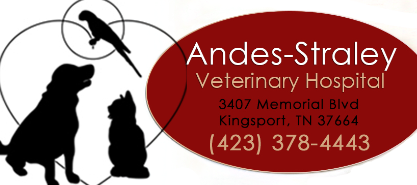 andrah veterinary clinic