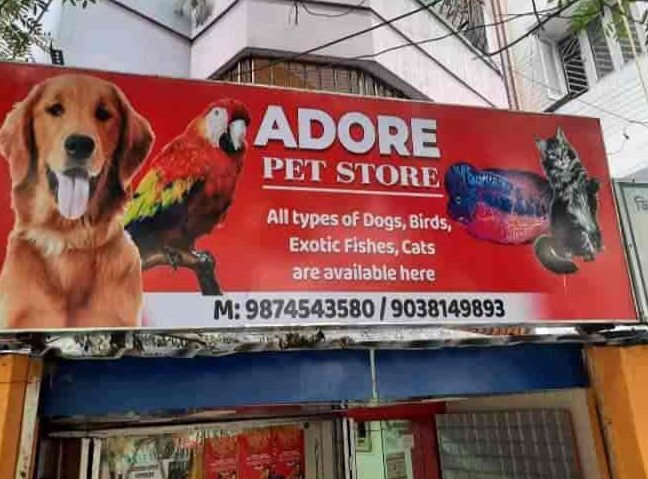 ANWAR PET SHOP 1 anwar pet shop