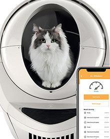 b pet world enterprise