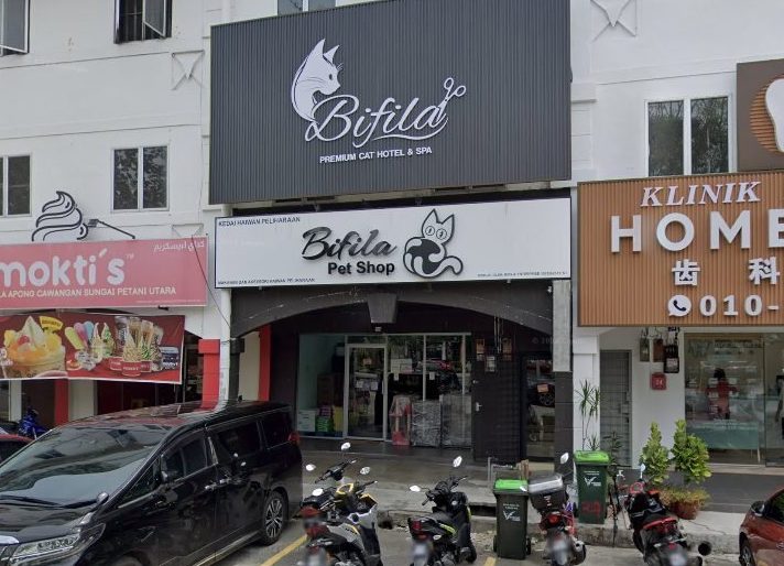 BIFILA PET SHOP X BIFILA PREMIUM CAT HOTEL & SPA 1 bifila pet shop x bifila premium cat hotel spa
