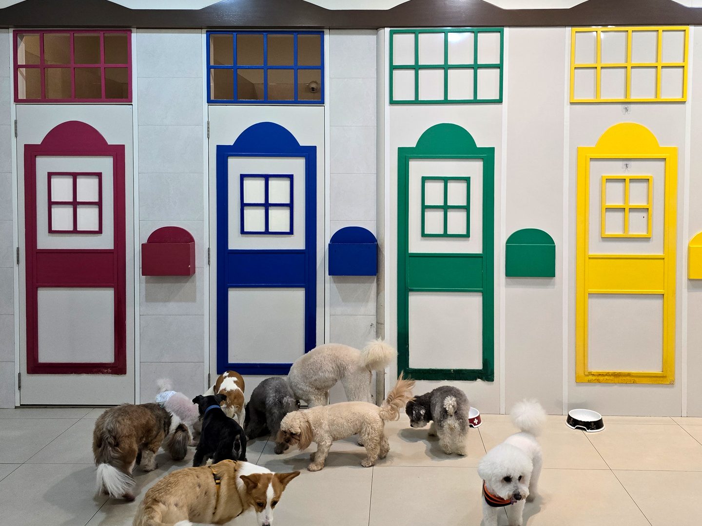 boarding n pet shop sg menghulu