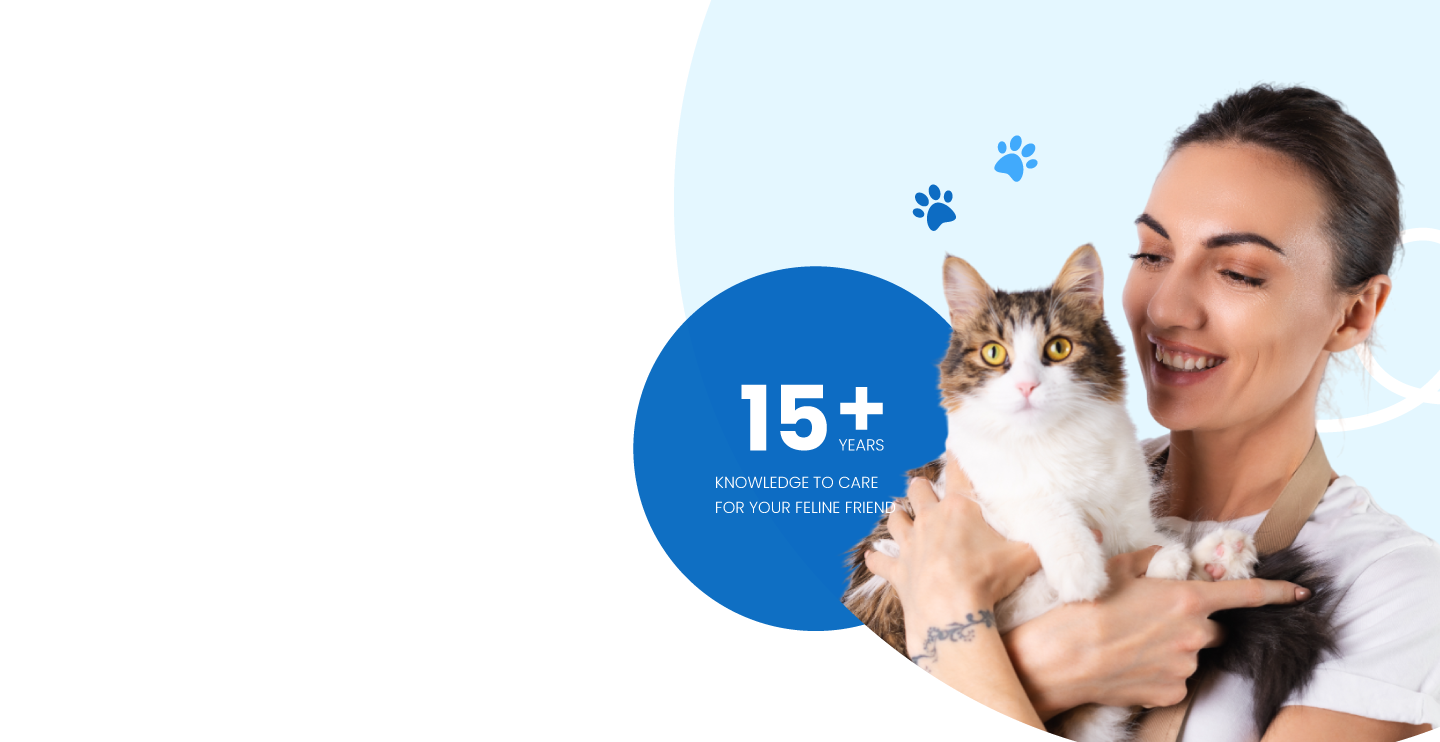 Cat N Friend Pet Shop 1 cat n friend pet shop