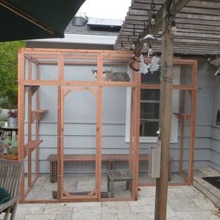C&D Pet Shop 1 cd pet shop