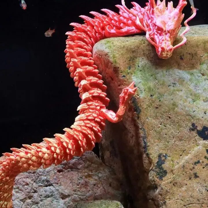 Chin Loong Aquarium 1 chin loong aquarium