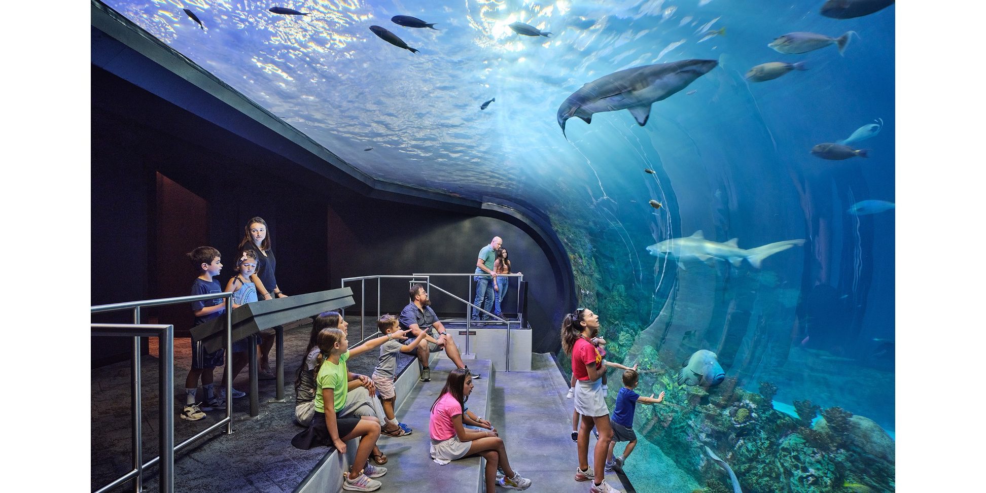 City Ocean Aquarium & Pets 1 city ocean aquarium pets