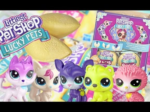 CKY PET SHOP 1 cky pet shop