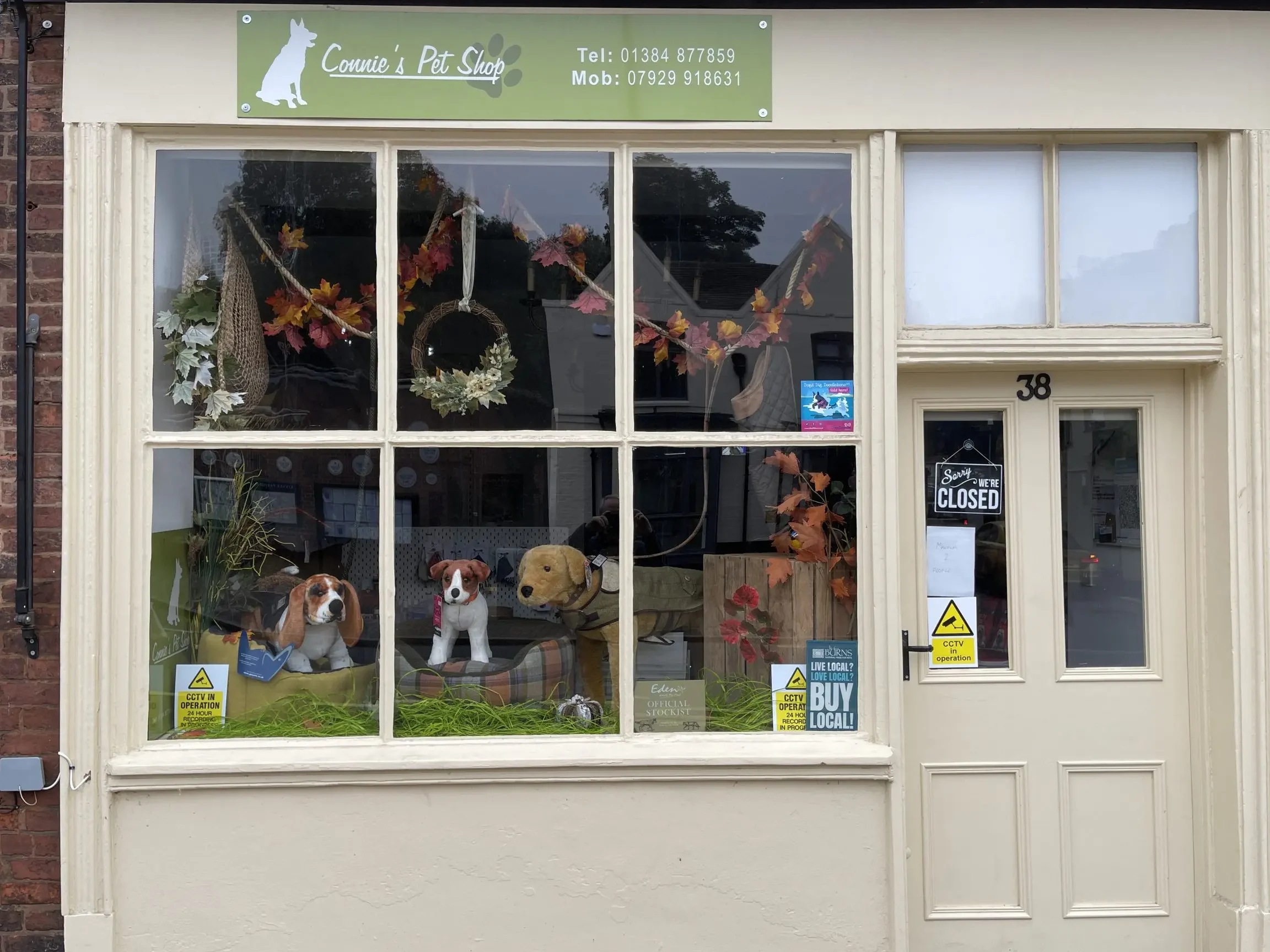 Connie pet shop 1 connie pet shop
