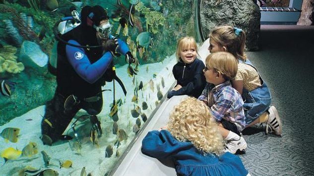 COOL YUAN AQUARIUM & PET STUDIO 1 cool yuan aquarium pet studio