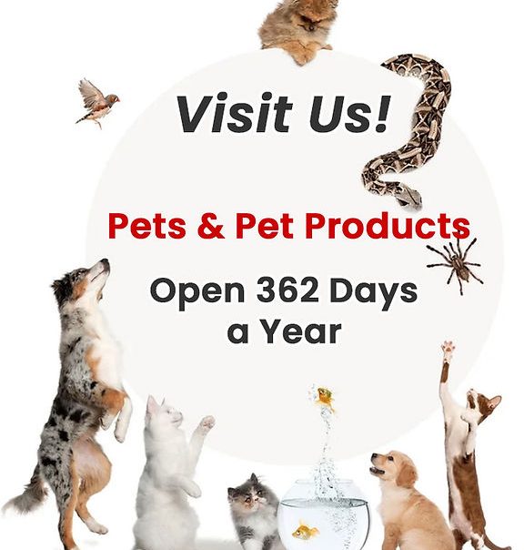 ct pets supplies