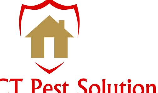 ct solution pets centre