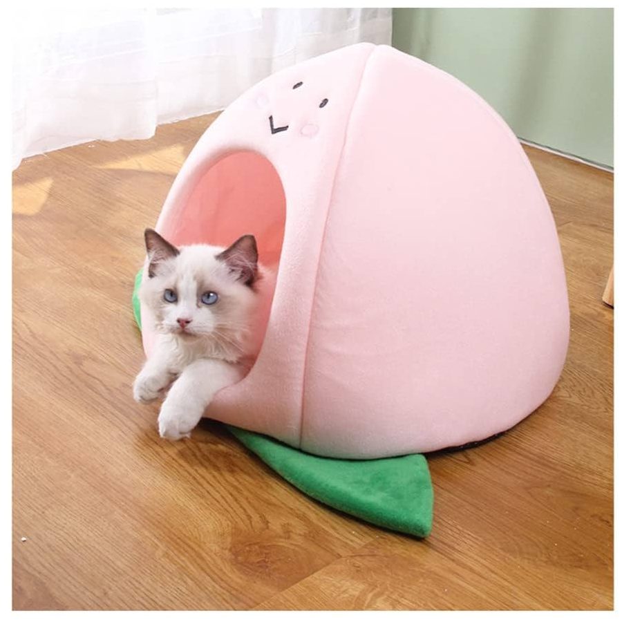Dhiraz Cat House 1 dhiraz cat house