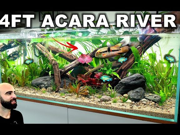 diy aquarium pets centre