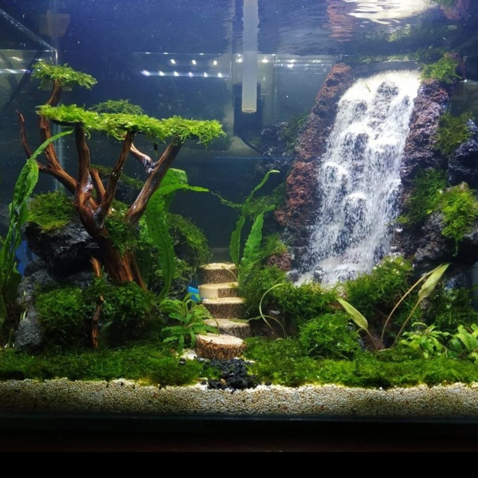 DIY Aquascape 1 diy aquascape