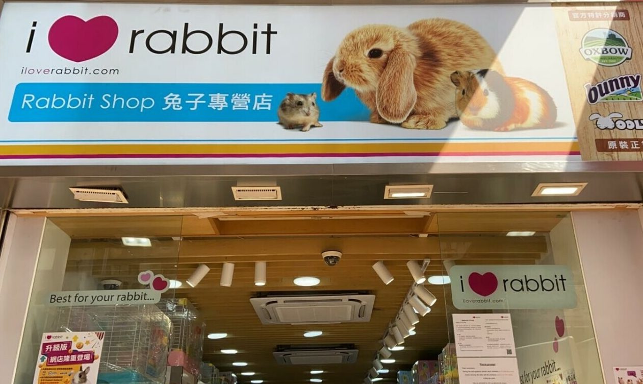 e58594e5ad90e5ba97 rabbit shop by kyntth bunny