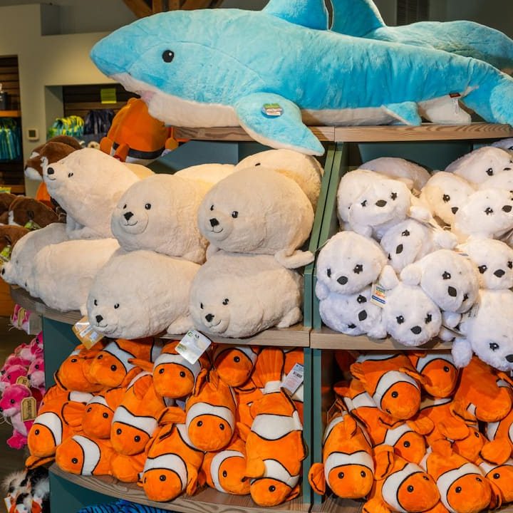EA Aquarium And Pets Shop 1 ea aquarium and pets shop