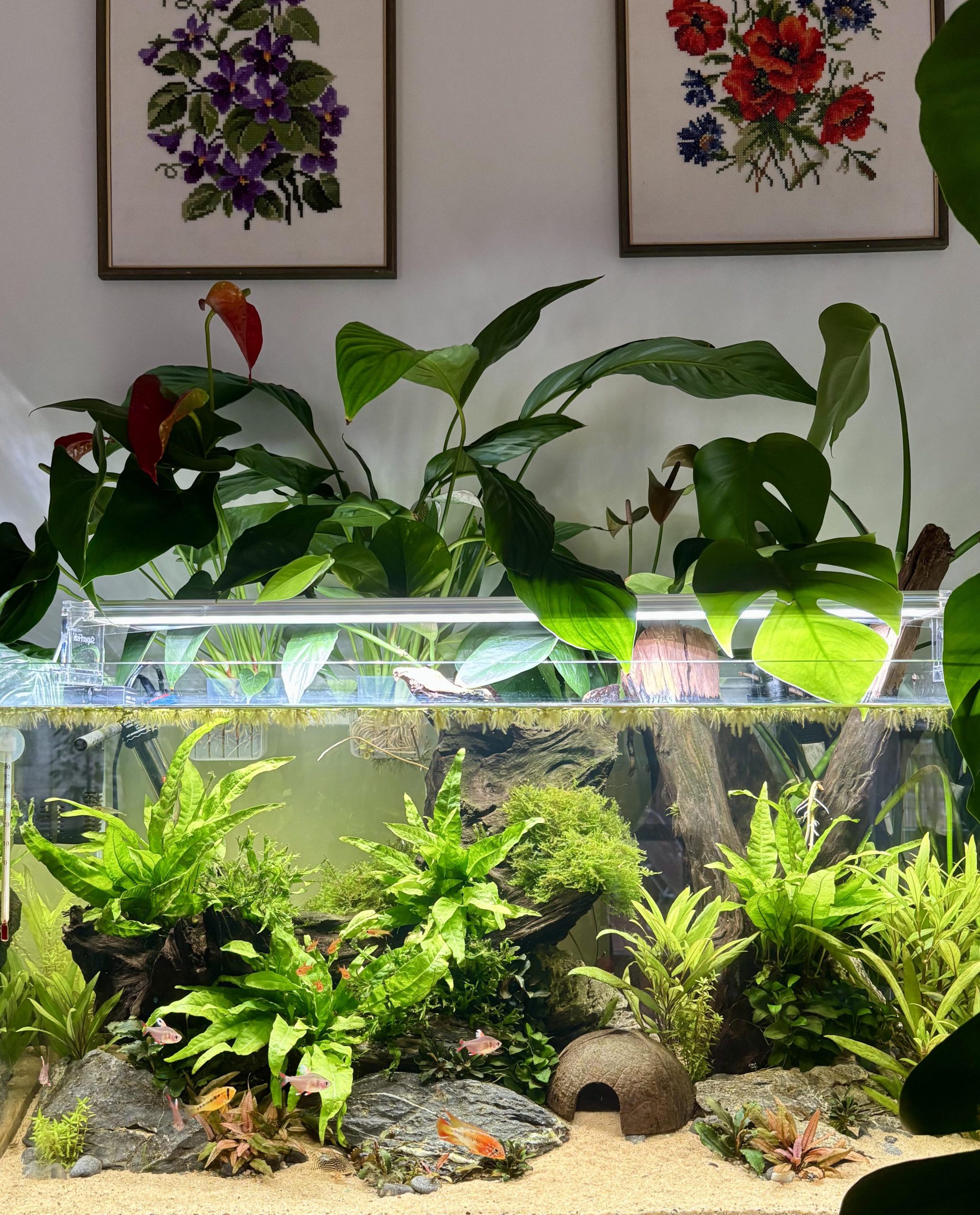 Evergreen Aquarium 1 evergreen aquarium scaled
