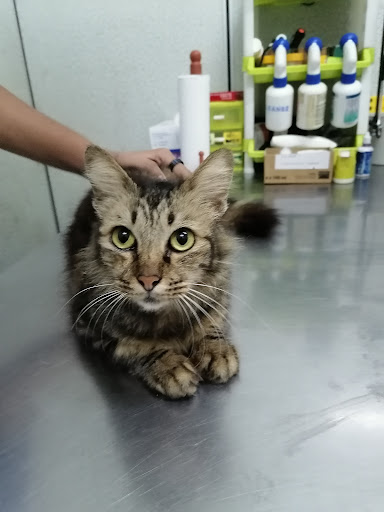 Schrodinger Veterinary Clinic