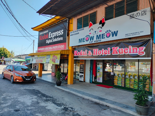 Meow Meow Cat House Meow Meow Cat House