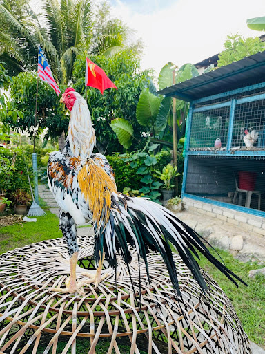 Fizol LK Farm, Jemi Bird Farm Fizol LK Farm, Jemi Bird Farm