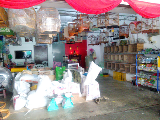 CK Birds And Pets Shop