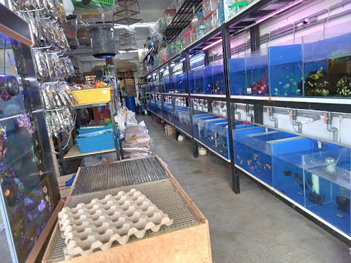 HT Aquatic & Pet Shop HT Aquatic & Pet Shop