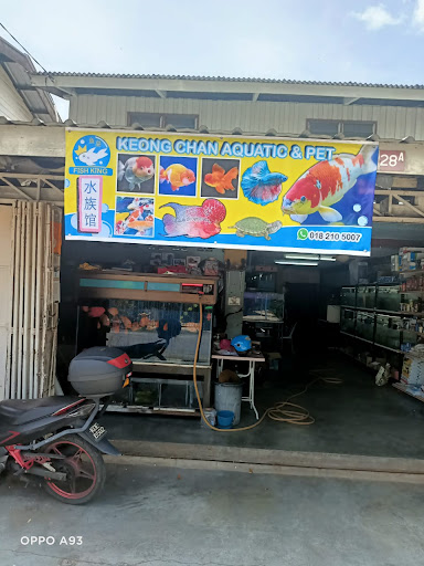 Fish King Aquarium Shop Fish King Aquarium Shop