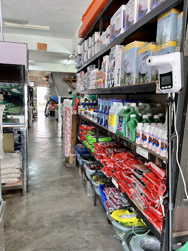 Akuarium Selasih Akuarium Selasih