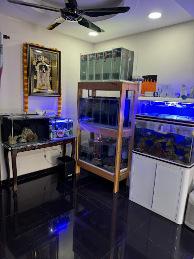 Universal Corals Saltwater and Freshwater Aquarium Universal Corals Saltwater and Freshwater Aquarium