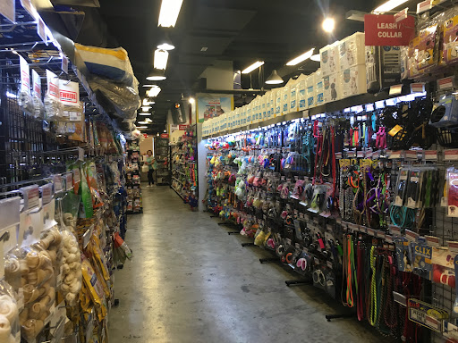 The Pet Safari - MyTOWN S.C.