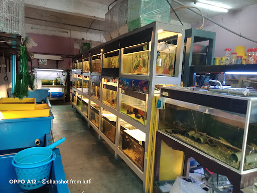 Aquarium & Pet Shop Aquarium & Pet Shop