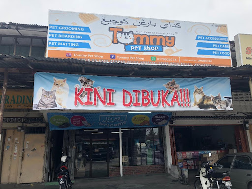 Tommy Pet Shop Tommy Pet Shop