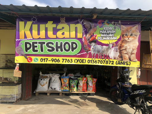 KUTAN PETSHOP KUTAN PETSHOP