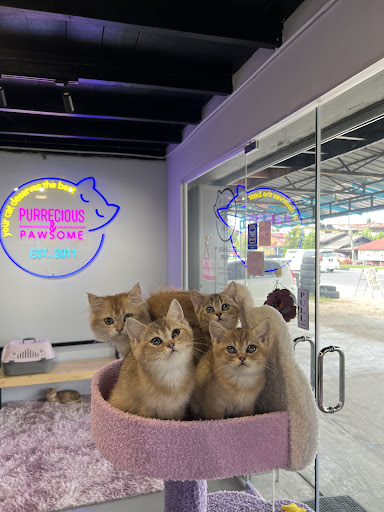 Purrecious and Pawsome