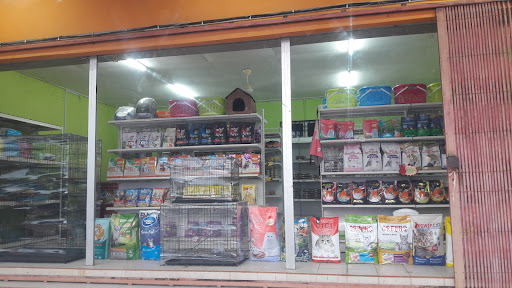 GTH PETSHOP (TIONG) GTH PETSHOP (TIONG)