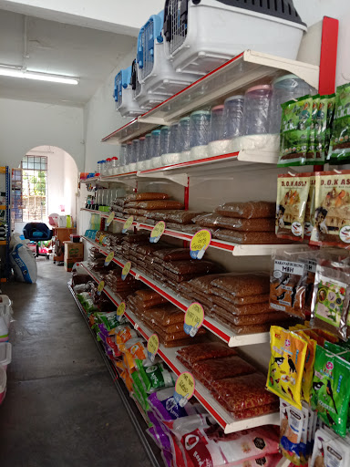 Ree Kj petshop Pasir Mas Ree Kj petshop Pasir Mas