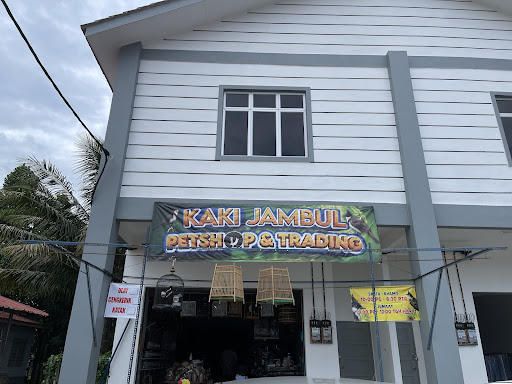 KAKI JAMBUL PETSHOP