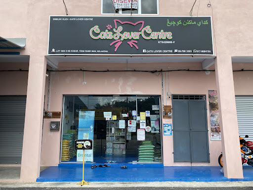 Cats Lover Centre Cats Lover Centre