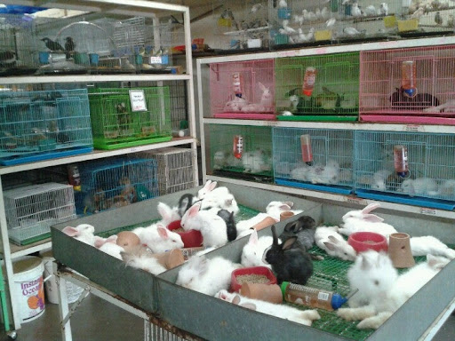 Polypets Shop Sdn Bhd Polypets Shop Sdn Bhd