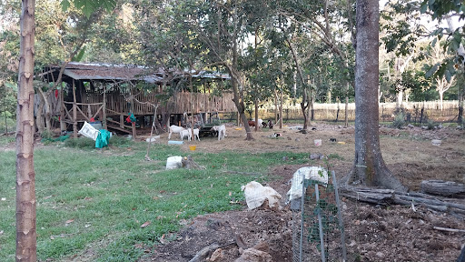 Triplead Farm Entr