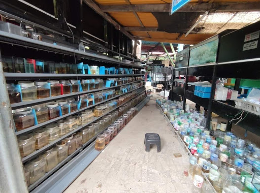 BETTA HMPK FARM