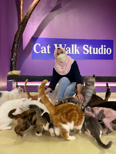 Cat Walk Studio