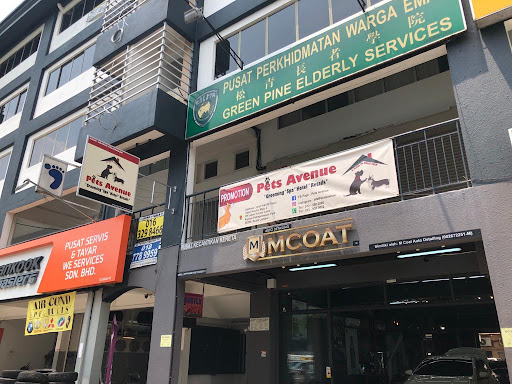 Pets Avenue Pets Avenue