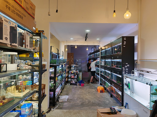Ultima Channa Taman OUG (Aquarium Shop) Ultima Channa Taman OUG (Aquarium Shop)