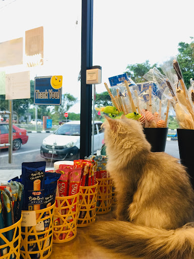 Ar Tarbus Petshop