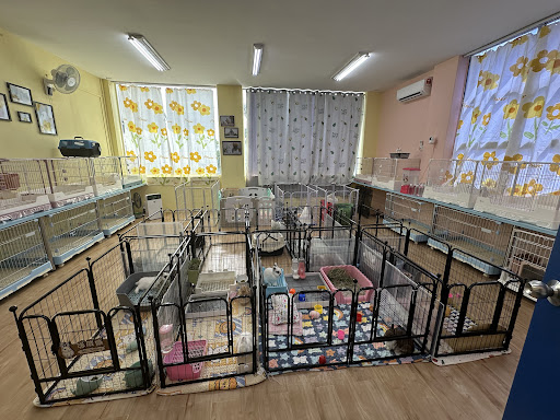 Mochichi&Didi Pet Shop Pet Hotel Pet Boarding