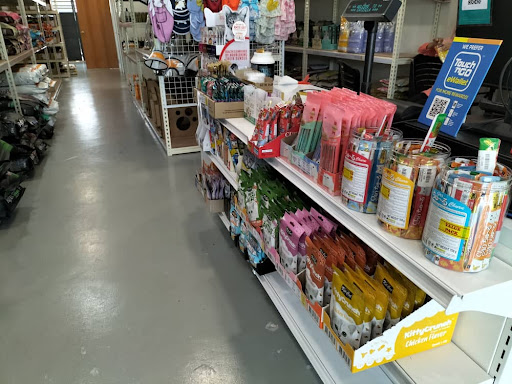 CATZILLA Petshop. Cat Hotel. Cat Grooming CATZILLA Petshop. Cat Hotel. Cat Grooming