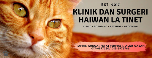 Klinik Dan Surgeri Haiwan LaTinet Klinik Dan Surgeri Haiwan LaTinet